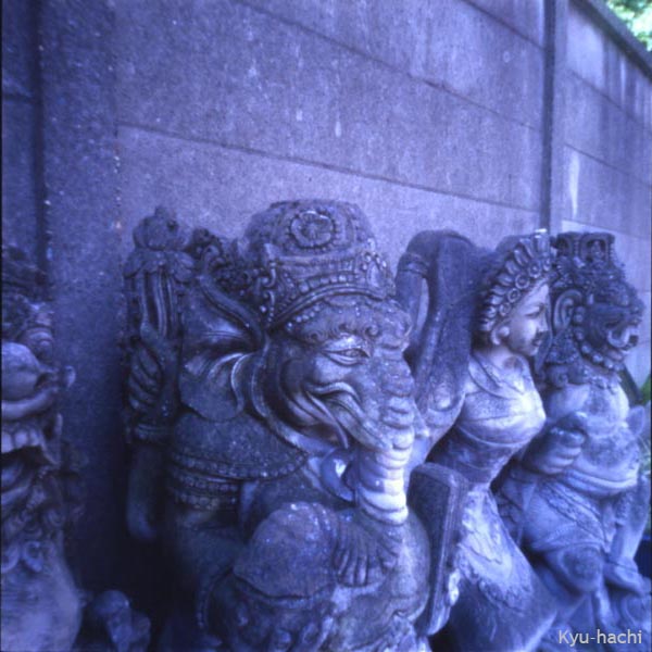 Holga 120PC