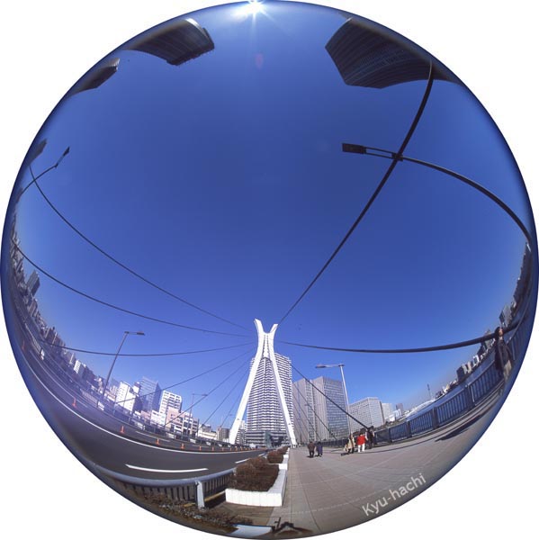 Handmade camera Fish-eye Bronica