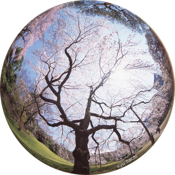Gyogan Bronica