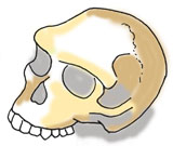Neanderthal