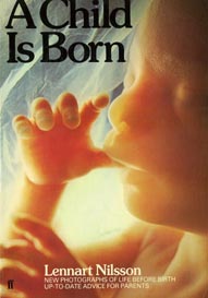 Lennart Nilsson@"A child is born" 2ed 1977