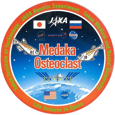 Medakaosteoclast