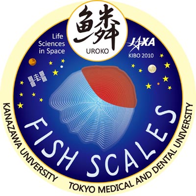 Fish Scales