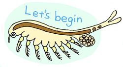 SeaMonkey 