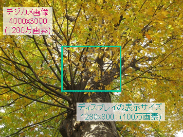 f̃Mbv