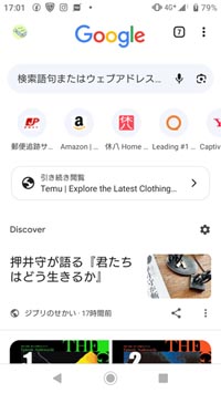 Screen shots of Mobile
              phone