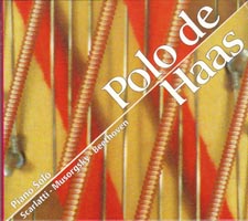 Polo de Haas - Pictures at an ehxibition